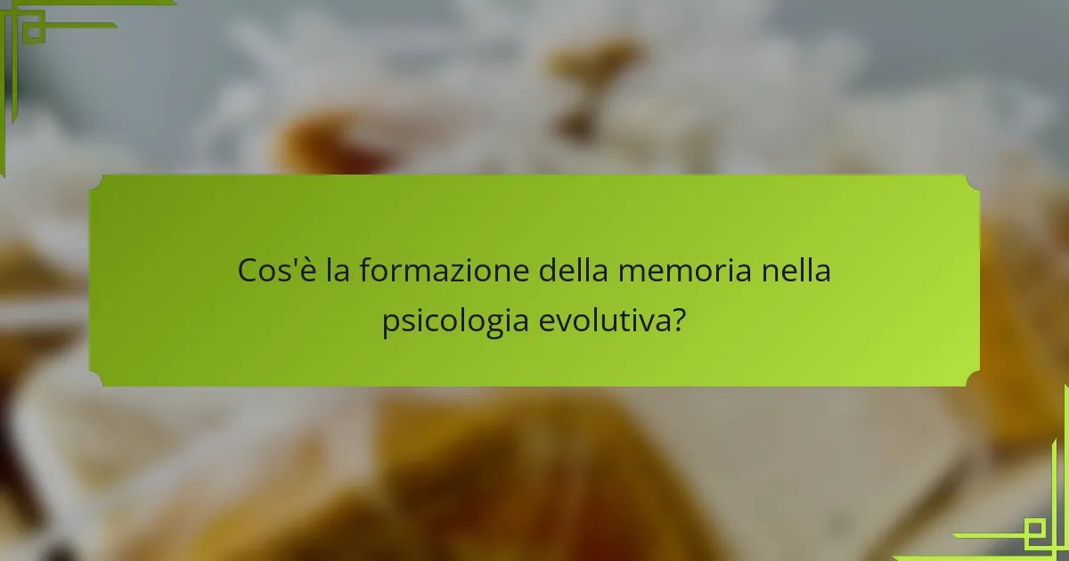Cos'è la formazione della memoria nella psicologia evolutiva?
