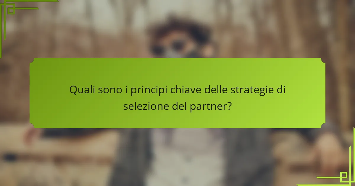 Quali sono i principi chiave delle strategie di selezione del partner?