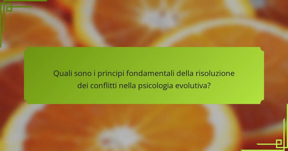 Quali sono i principi fondamentali della risoluzione dei conflitti nella psicologia evolutiva?